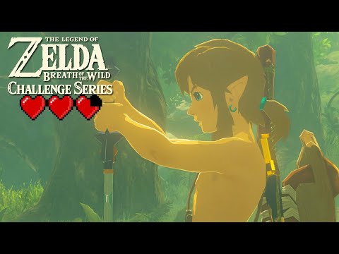 TRIAL OF THE SWORD 3 HEART EDITION [Beginning Trials]: Breath of the Wild Challenge Series