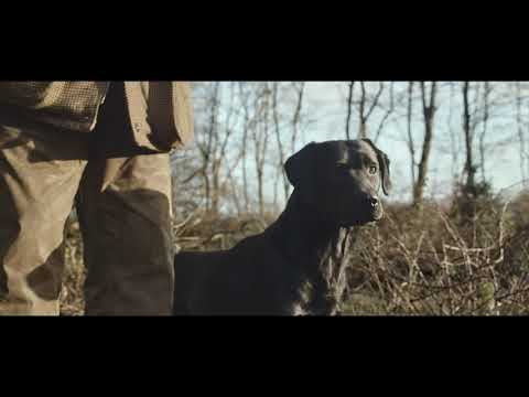 Hunden med på jagt - OLIVERS Petfood