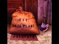 10 Ft. Ganja Plant - Walkey Walk Tall 