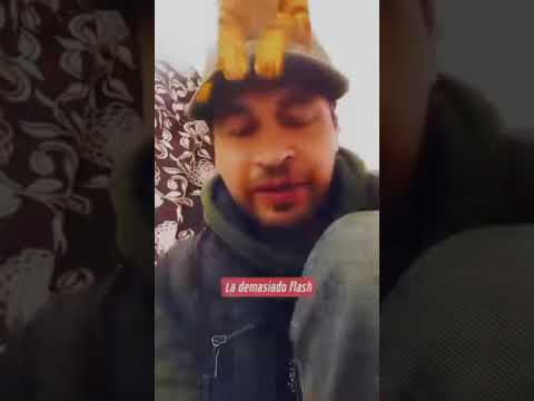 14 de Febrero amor y paz ya todo el año Navidad. Todos los perros son gatitos dimensionales