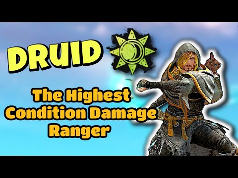 Druid Solo PvE Build Is The Highest Condition Ranger Damage Legendary and Survivability Demo