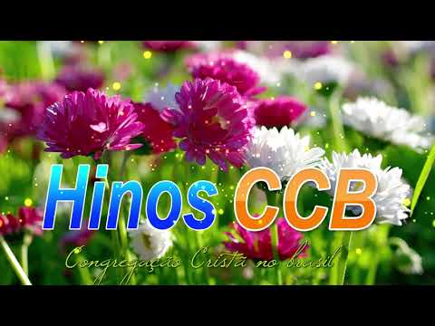 BELOS HINOS CCB 🌹 Hinário 5 🌷 Top Hinos Cantados CCB