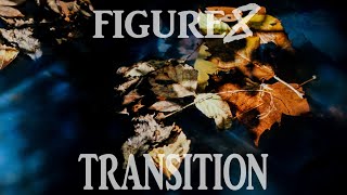 Figure 8 - Transition