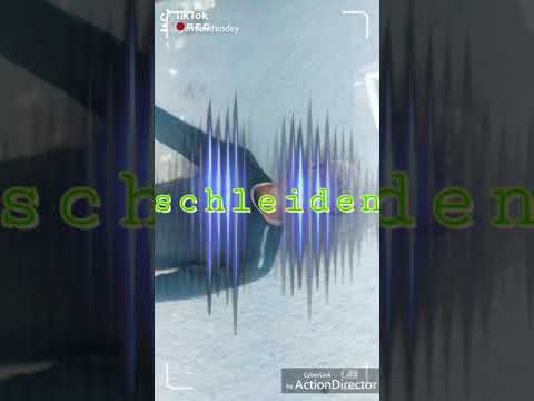 Mike homie 4poch kob ft Young fresh ground video dance by schleiden