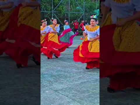 🍈🎉 Invitación a las Fiestas del Anón – Barbacoas 2026.