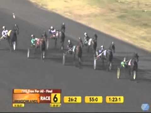 TVG Free for All Final 2013 -Market Share