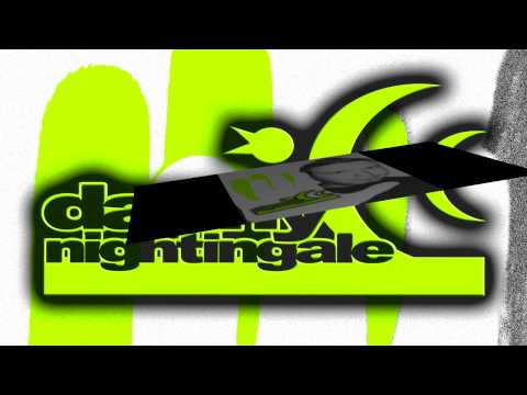 Tim Berg Seek Bromance (DANNY NIGHTINGALE REMIX)