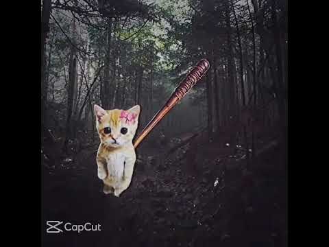 #sahar پشەبێ منەت