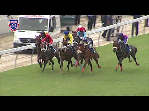 RM3 R5 - Ideal Secret | D.Holland