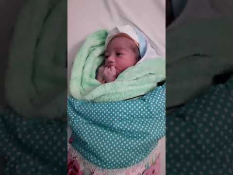 1st hour when mohammad wajdan  was born