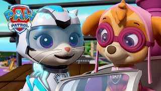 Download lagu Bencana Terhindarkan! Penyelamatan Heroik Skye & Rory! | PAW Patrol | Episode Indonesia | Kompilasi mp3 Download lagu Bencana Terhindarkan! Penyelamatan Heroik Skye & Rory! | PAW Patrol | Episode Indonesia | Kompilasi mp3