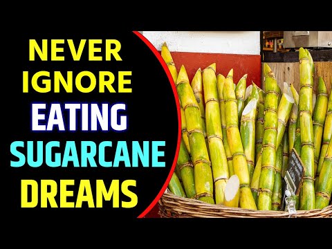 Eating Sugarcane in Dream Meaning | Eating Sugarcane Dreams Interpretation