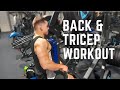 BACK WORKOUT | 11 WEEKS OUT | PROPHECY PERFORMANCE CENTRE