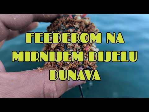 Dunavske Plotice I Mrene/ Feeder Ribolov Na Sporom Toku Dunava (4K Video)