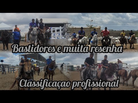 BACKSTAGE AND REVIEW IN THE PROFESSIONAL CLASSIFICATION PARK FERNANDO LUCENA