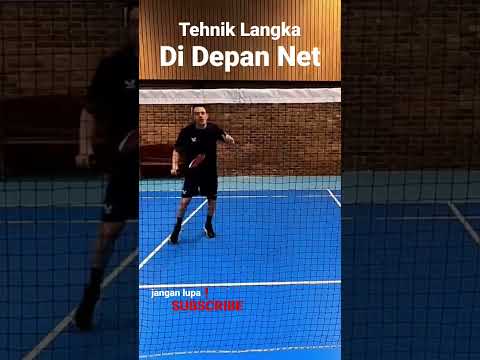 tehnik langka didepan net