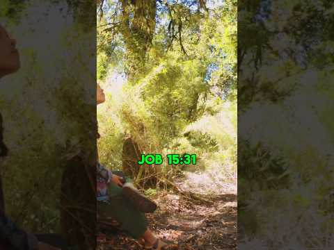 Job 15:31 #Him #not #deceive #himself #trust #worthless #will #get #nothing #return #job #bible #joy