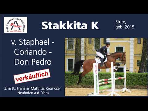 Stakkita K (geb. 2015), v. Staphael - Coriando - Don Pedro **** ELITE VERKAUFSSCHAU 2019