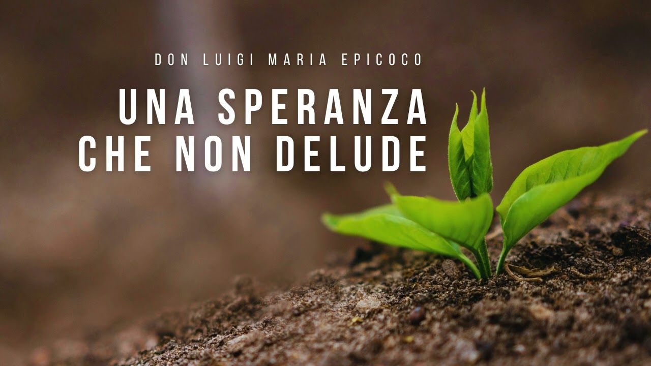Don Luigi Maria Epicoco - Una speranza che non delude