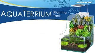 PENN PLAX AQUATERRIUM 7l s LED osvetlením a filtraciou pre ryby a rastliny