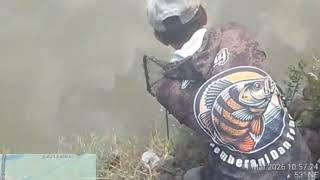 Download lagu Hasil mancing di kolam bang satria kampung nelayan & bukak ke 2 Minggu tgl 8 mar 2026 mp3