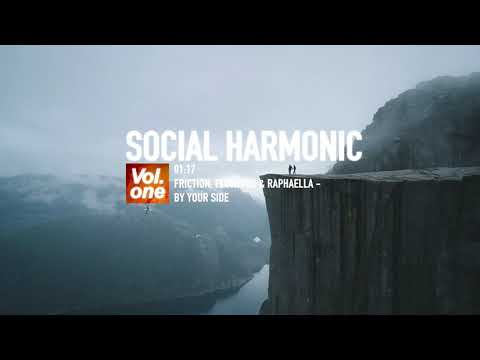 Friction, Flowidus & Raphaella - By Your Side