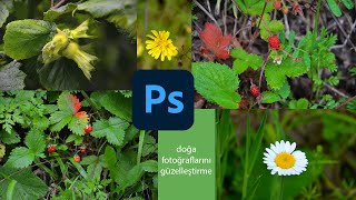 Doğa fotoğraflarını güzelleştirme