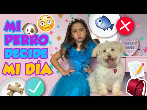 MI PERRO DECIDE MI DIA/ GALLETA 🐶😵 DECIDE TODO! 🦴