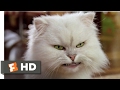 Stuart Little 2 2002 Silver Lining Scene 4 10 Movieclips