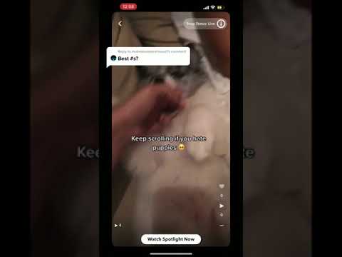 STOP using Hashtags on Snapchat Spotlight!
