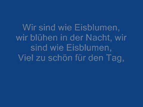 Eisblume Eisblumen Lyrics