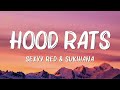 Sexyy Red Sukihana Hood Rats Lyrics The Weeknd Babyface Coco Jones Sia SZA Mix