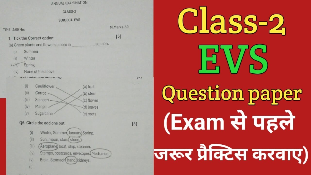 Class-2 EVS Annual Exam Question paper with solutions//Term II EVS questions @ncmalini8511 