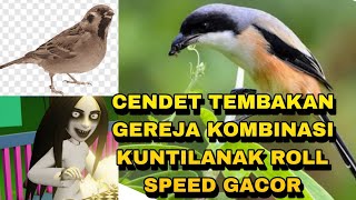 Download lagu Cendet suara gereja tarung sambung kunti gacor panjang keras powernya_ @sultanakbar mp3 Download lagu Cendet suara gereja tarung sambung kunti gacor panjang keras powernya_ @sultanakbar mp3