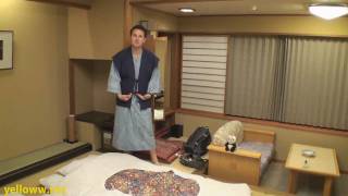 Airinkan Onsen Hot Springs Hotel in Japan