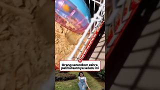 Download lagu Zahra's pet hamster is so cute, it looks like hers #zahby #zahrada7 mp3