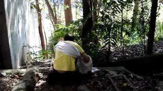 RIL Classics - Echo & Narcissus