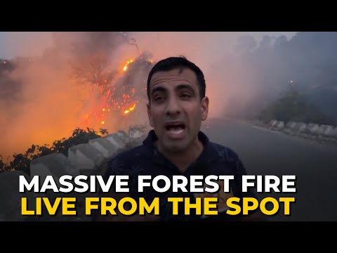 Forest on Fire on Jammu-Poonch road, Live from Kappa Galla area