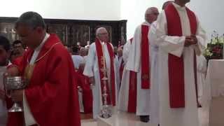 preview picture of video 'Entrada solene de D.António Moiteiro,novo Bispo de Aveiro - 7 - Momento da Comunhão.'