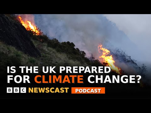 Video | What could the UK government do to prepare for hotter temperatures? | BBC Newscast