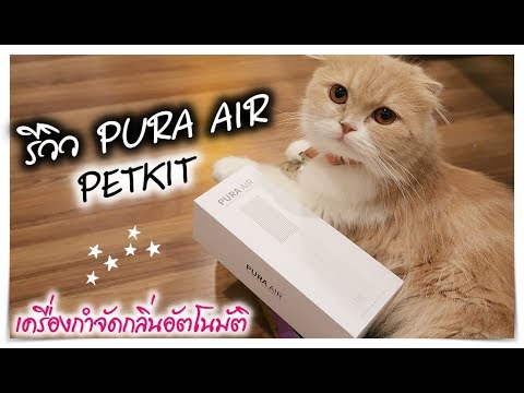 Kvapų neutralizatorius PETKIT PURA Air video
