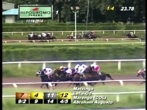 1RA CARRERA DOMINGO 16 DE NOVIEMBRE 2014