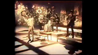 the rolling stones - walking the dog - wide mono III