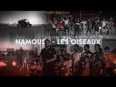 Namouss - LES OISEAUX