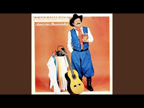 Mulher Fingida - Teixeirinha