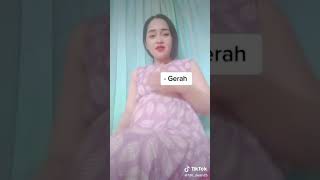 Download lagu bumil 272 mp3