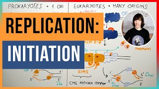 Initiation of DNA Replication