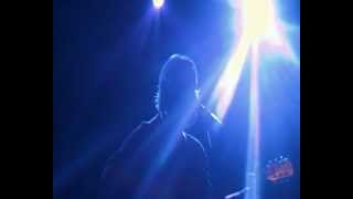 Neal Casal, Let It All Begin.