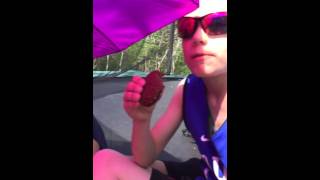 E.S.T. Picnic👍🙏🏻🙇🐾🌺☃🌬🌨⛄️💨☔️☂💧💦🍟