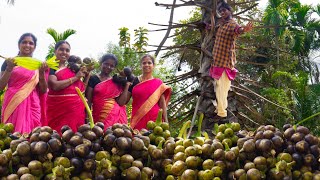 Hunting Fresh Palm Fruit and Eating | sugar and Lemon palm fruit | village Super Cooking